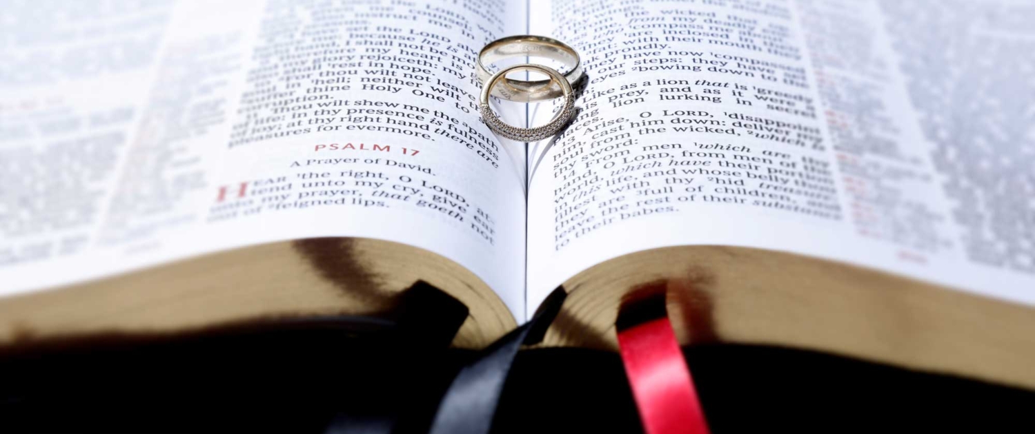 The Godly Marriage - Marriage Doctrines
